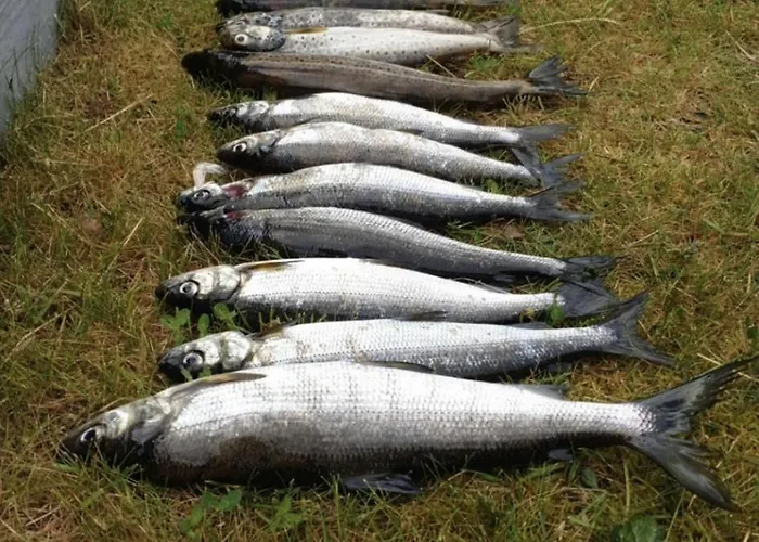 Feriehus Delikat, Moderne Og Komfortabel Med Panoramautsikt Over Nisser *